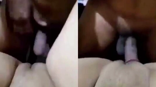 Beauty Family Affair Desi Xxx Hd